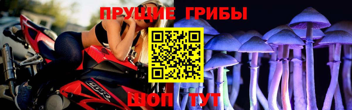 Псилоцибиновые грибы Magic Shrooms  купить   Ипатово  Вход с VPN  Галлюциногенные грибы прущие грибы 