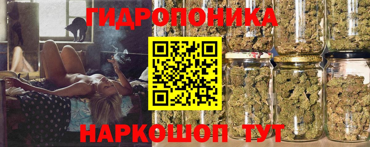 Каннабис MAZAR Ипатово